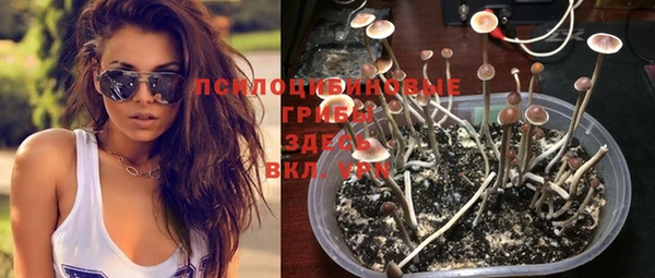 амф Заводоуковск