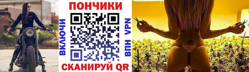 Купить где  Салаир  Каннабис ГИДРОПОН 